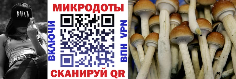 blacksprut онион  Всеволожск  Псилоцибиновые грибы ЛСД  закладки 